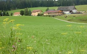 Ferienhaus Wohleser
